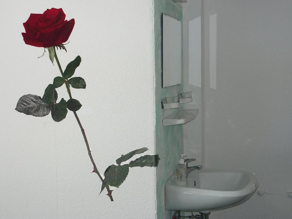 Hotel Sternen Lenzkirch Room photo